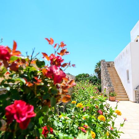 Villa Andromeda 아모르고스 외부 사진